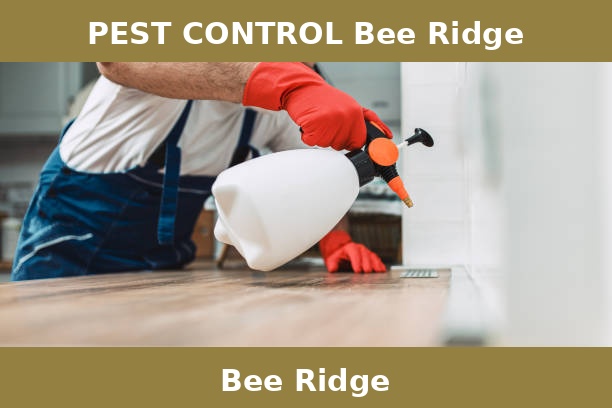 PEST CONTROL Bee Ridge